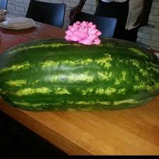 A Detroit firefighter was fired before he officially began his first day for bring a watermelon