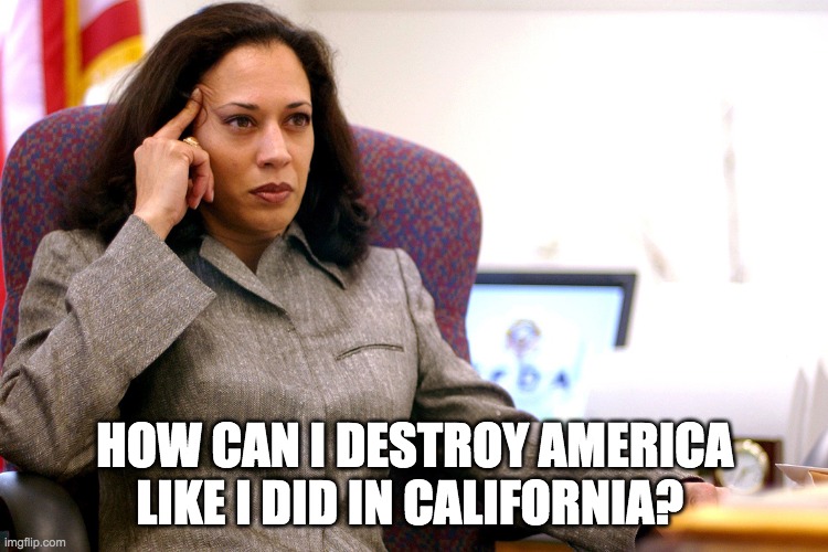 Why Did KAMALA HARRIS’S OFFICE STOPPED COOPERATING WITH VICTIMS OF CATHOLIC CHURCH CHILD ABUSE?