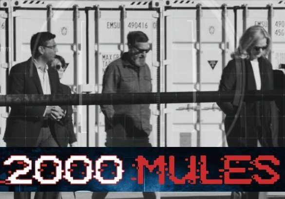 Preview Of 200 Mules By The Doctor Of Common Sense