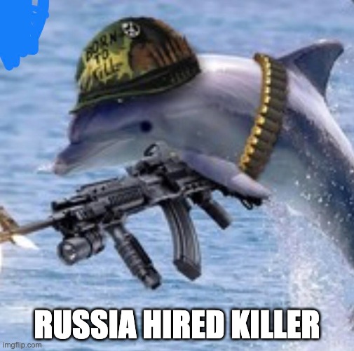 Russia Now Is Being Blamed For Using Killer Dolphins In Ukraine