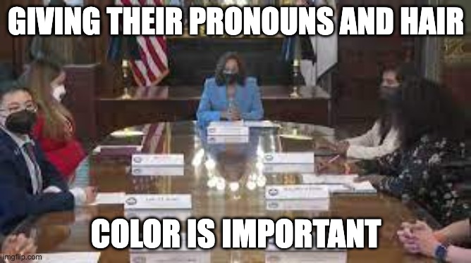 VP Kamala Harris And Woman At Roundtable Give Their Pronouns