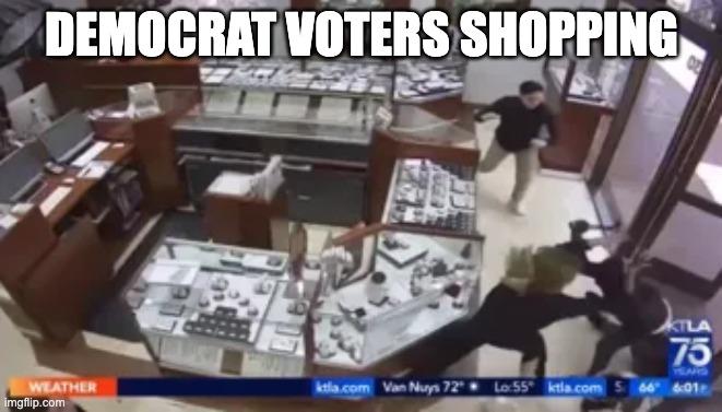 If You Voted Biden-Kamala Smash And Grab Should Be Legal At Your Business