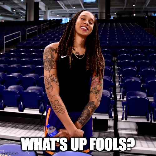 WNBA Star Brittney Griner Guilty Sentenced To 9 Years In Prison